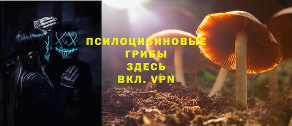 стафф Арсеньев