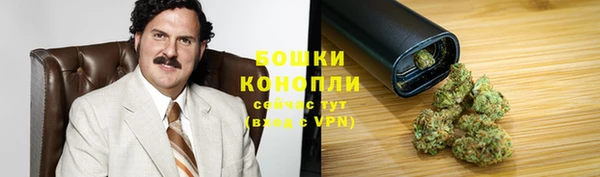 мескалин Богданович